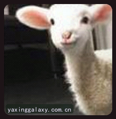李敏