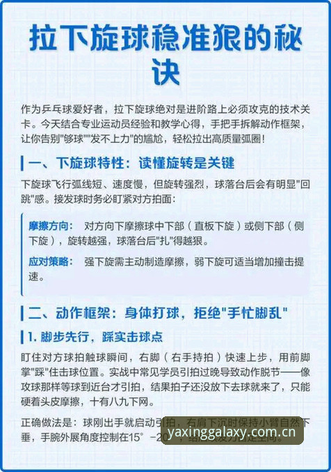 资深用户体验分享：亚星体育平台使用心得与2024年实战技巧